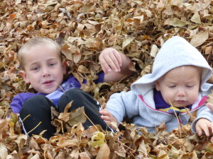 We had a LOT of leaves!