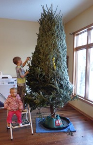 Got the tree in the stand. Adam was excited to cut off the webbing