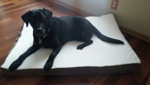 Jack got a new bed...so he now has 1 for each level