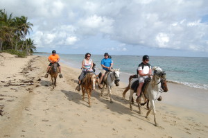We went horseback riding on the beach one morning