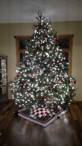 Our crazy tall (10 feet!), fat tree with 1800 LED lights! It was awesome!