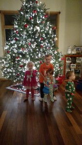 Adam, Allison, Emma, & Linus on Christmas. We waited too long to try for a pic. They weren't interested!
